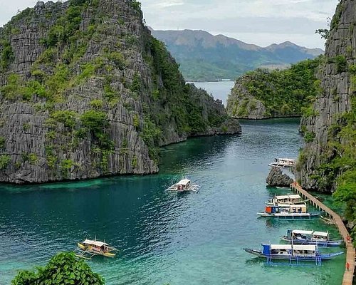 A picturesque view of a vineyard and villa in the Tuscan region of Italy.
