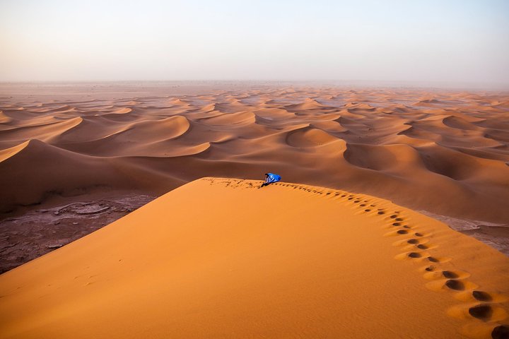 A camel caravan moving across large sand dunes in the Moroccan Sahara Desert.